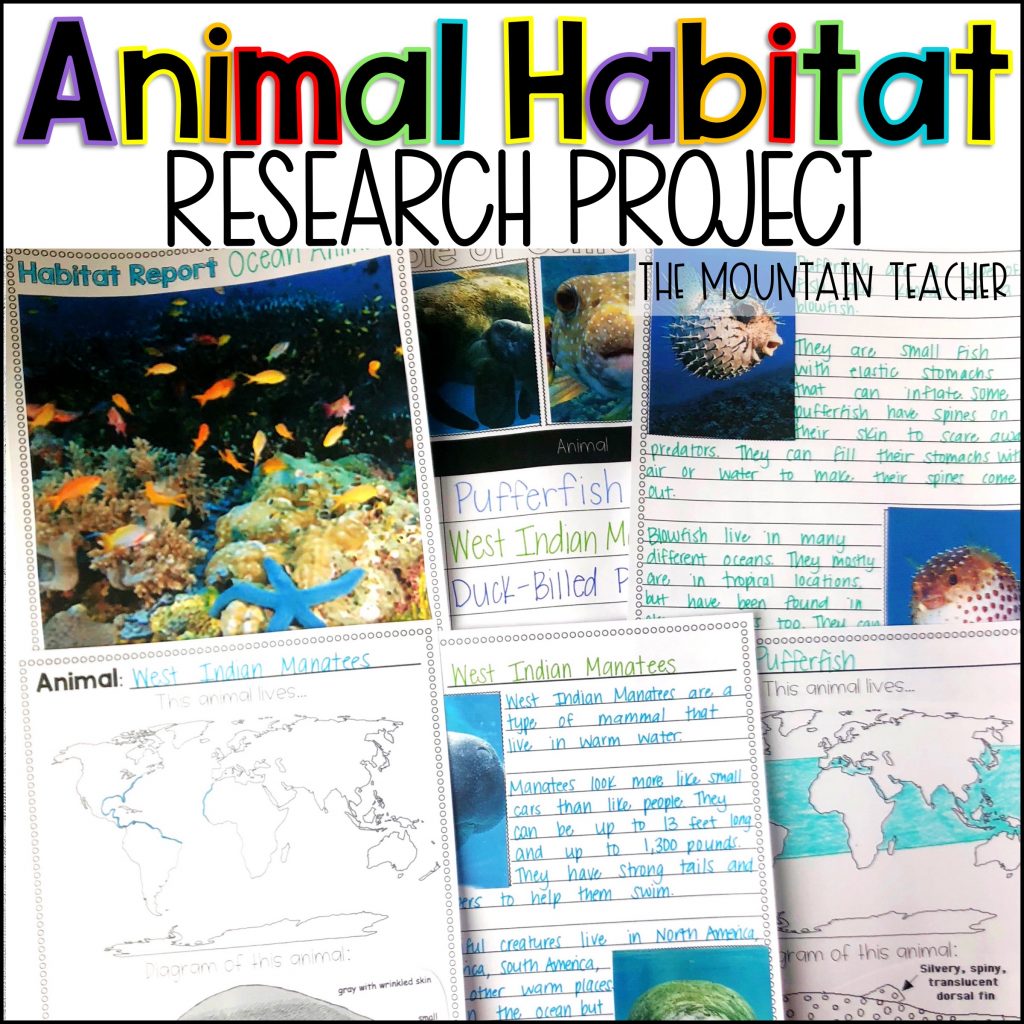 Animal Habitat Research Report Writing Project for Elementary Students01
