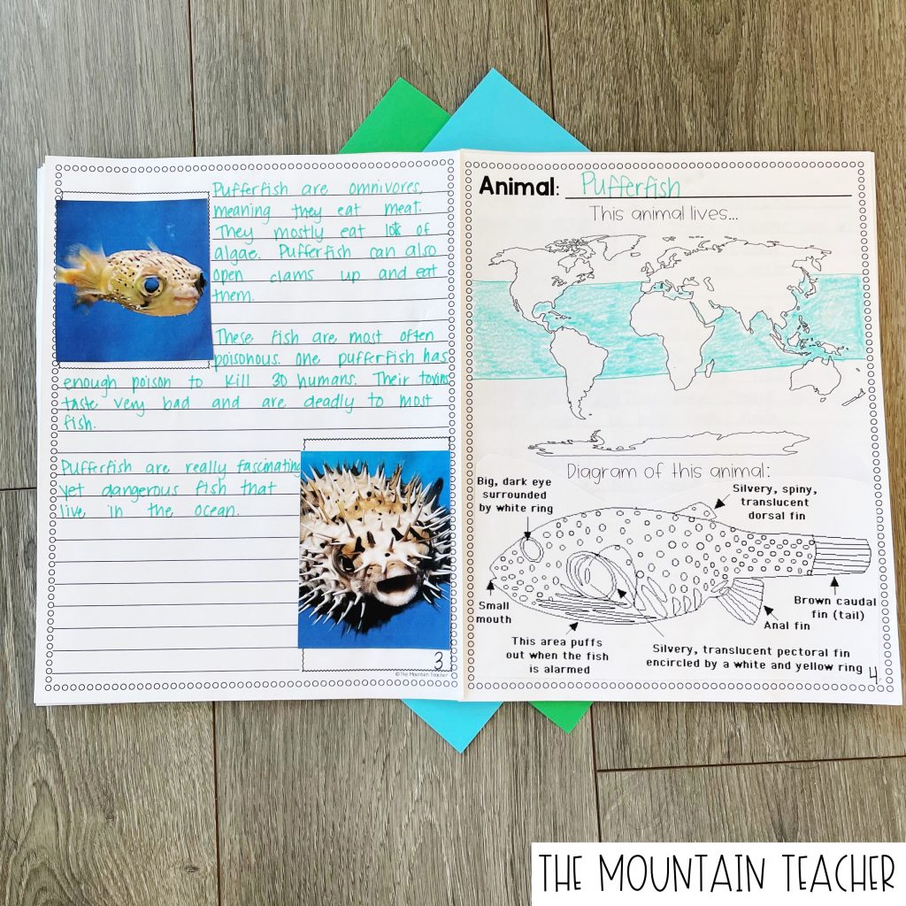 grade 2 animal research project template