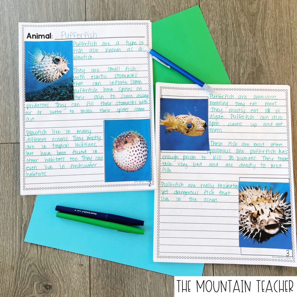 Animal Habitat Research Report for 2nd or 3rd Graders 303