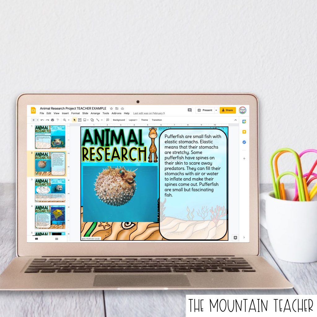 Digital Animal Habitat Research Report for 2nd or 3rd Graders101