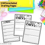 All About Chicks Informative Craft | Spring Writing Prompt and Bulletin Board - Writing Template, Graphic Organizer and Chicken Craft