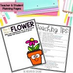 How To Grow a Flower Craft and Writing Template for a Spring Bulletin Board - Graphic Organizers, Flip Book and Rubrics