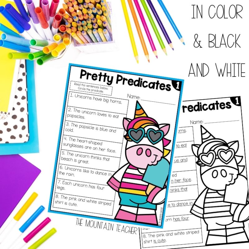 1st or 2nd Grade Grammar Posters, Worksheets and Activities in Color and Black and White