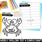 1st Grade Phonics Curriculum and Spelling Words for Science of Reading Phonics Craft and Spelling Test