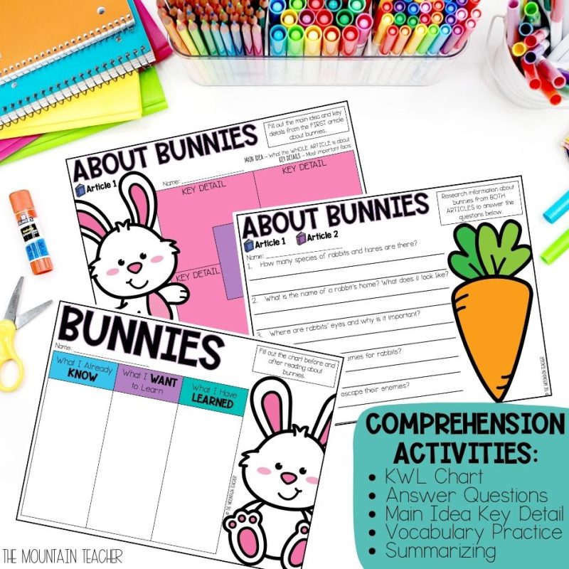 Bunny or Rabbit Webquest with Reading Comprehension Activities and Writing Craft