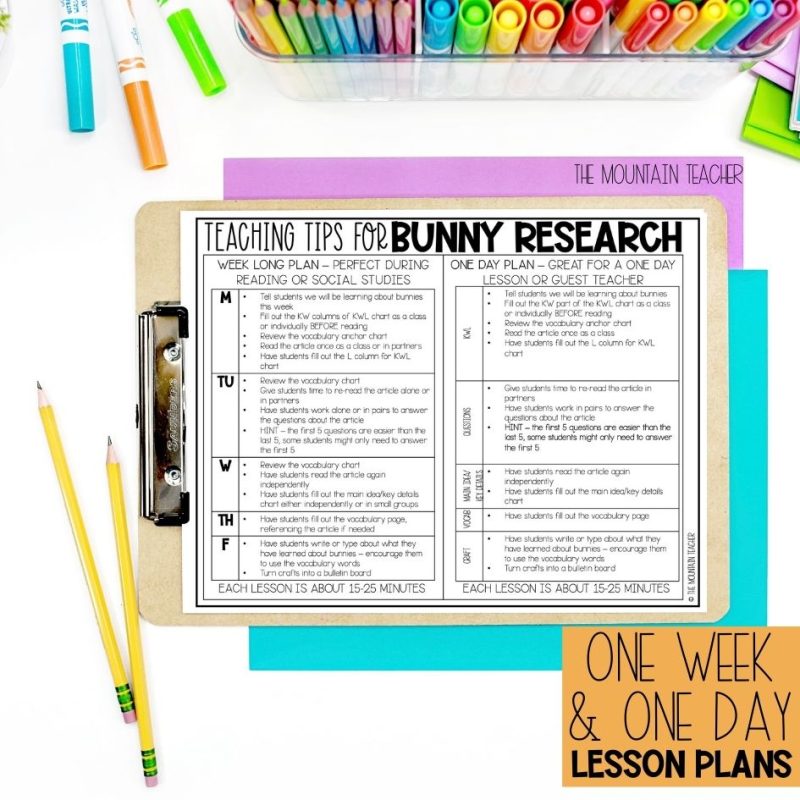 Bunny or Rabbit Webquest with Reading Comprehension Activities and Writing Craft